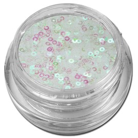 Glitter Donuts Circles Glitter Nail Art Transparent Iridescent