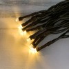 Unbranded 20 Count LED Light String Electric Teeny Rice Clear