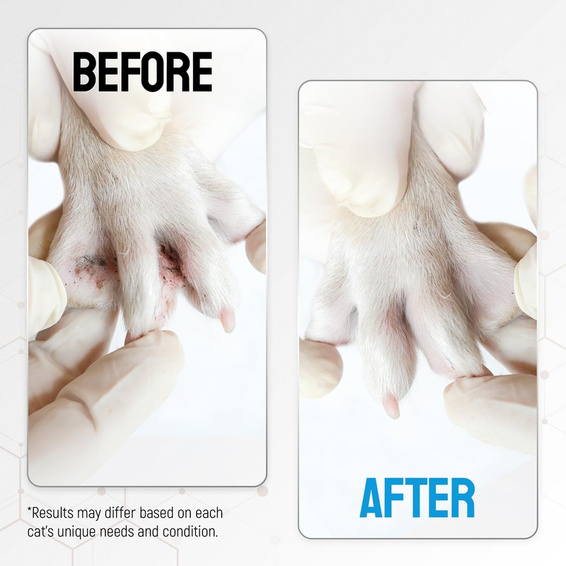 Cat Wound Care Spray with Silver – Wounds, Rashes, Hot