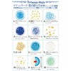 Princess-style Nail Parts, Small, Resin Parts, Enclosed Parts, Blue, Pink,