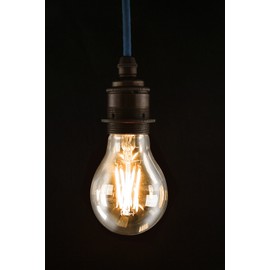 Newhouse Lighting 5W A19 Vintage Edison LED Filament Light Bulb (E26), Dimmable, 2200K