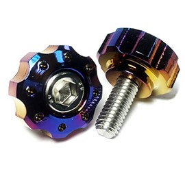 COTRAX Mini Gear Type License Plate Bolt, Lightweight, Aluminum, License Plate Bolt, Washer + Stainless Steel M6 Screws, Motorcycle, Automobile, General Purpose Parts, Mini Gear, Set of 2 (Neochrome