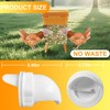 Diy Chicken Poultry Pro Feeder Port No Waste Mess Cups