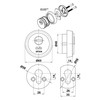 Amig - Door Security Escutcheon | Brass | Reinforced Sintered