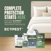 Bed Bug Interceptors – 4 Pack | Bed Bug Blocker