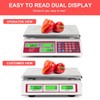 CAMRY Digital Price Computing Scale 66lb/30kg Commercial Produce Scale with