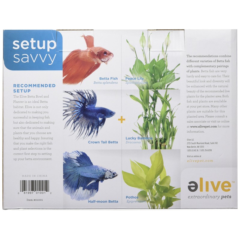 Elive Betta Fish Bowl / Betta Fish Tank with Planter,