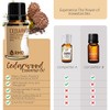 Cedarwood Essential Oil 15ml