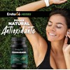 Guanábana Suplemento Alimenticio Origen Natural Apoyo Antioxidante Bienestar Integral Salud