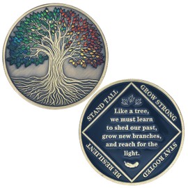 Affirmation Sobriety Challenge Coin Tree of Life AA Chip Medallion Sobriety Gifts (Single Coin)