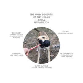 SodaPup USA-K9 Dog Toy - Magnum Black Natural Rubber Sugar Skull Dog Chew Toy, Reward Toy, Tug Toy, Retrieving Toy and Treat Dispenser, Guaranteed Tough, Made in USA, Black, Large