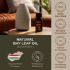 Gya Labs Gya Labs Bay Leaf Essential Oil for Diffuser