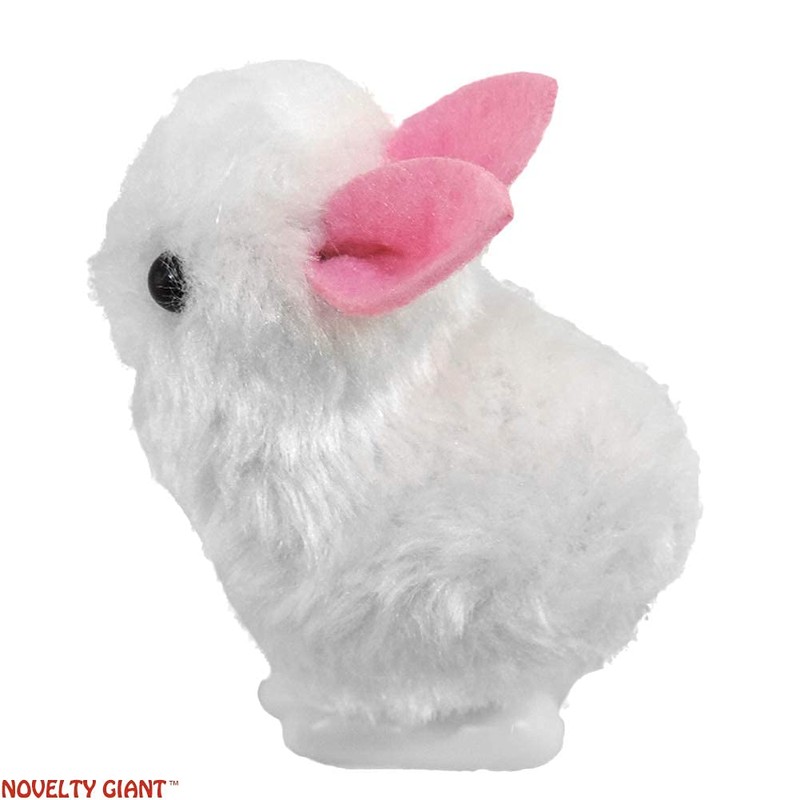 NOVELTY GIANT WWW.NOVELTYGIANT.COM 2 Wind Up Hopping Bunny Easter Egg