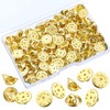 Brass Clutch Badge Insignia Clutches Pin Backs Replacement (Gold, 50