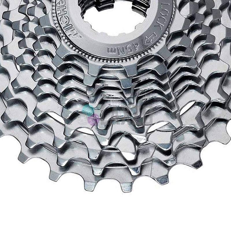 Miche Unisex's Primato 10 Speed Cassette, Campagnolo, 12/25