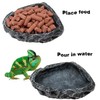 Reptile Water Dish Food Bowl, 2 Pack Reptile Feeding Dish