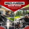Pre Baited Mouse Boxes - 5 Pack for Effective Mouse