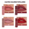 Lapiz Labial Color Mate Silky Saturados Larga Duración