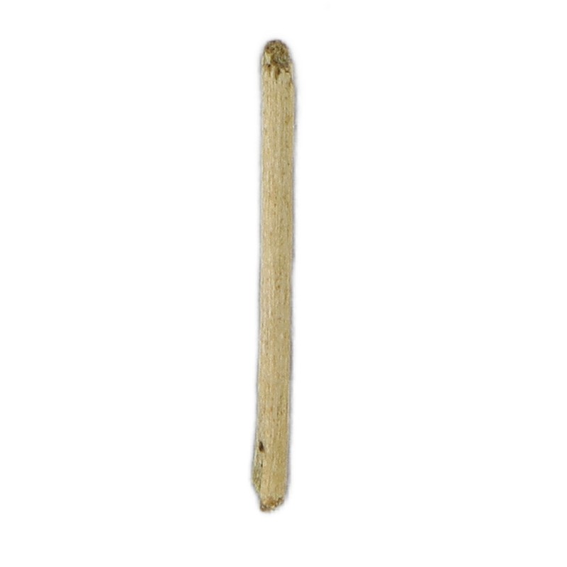 50pcs Tea Stem Stud Earrings Prevent Inflammation Tea Rod Curing