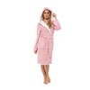 INSIGNIA Ladies Dressing Gown Fluffy Super Soft Hooded (XL, Pink)