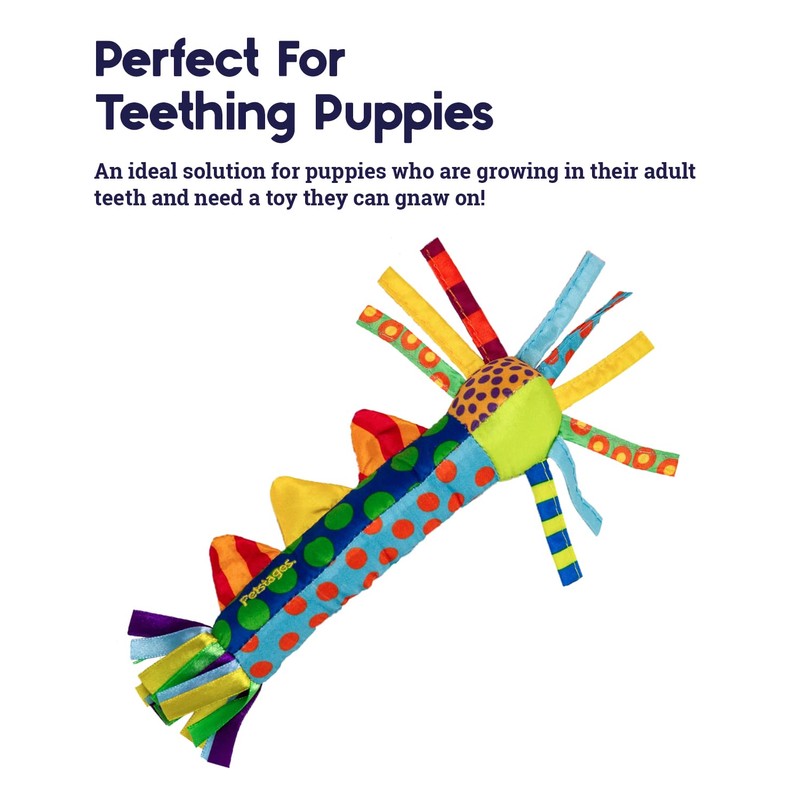 Petstages Cool Teething Stick for Dogs - Soothing Chew Toy