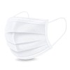 Disposable, Set of 10, Non-woven Fabric, White, Dust Pollen Protection