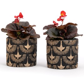 Vimin Box Pair of Terracotta Vases Hand Decorated Black and Gold for Plants and Flowers, Home Decoration, Diameter 11cm-11cm (Black/Gold, 2x S)