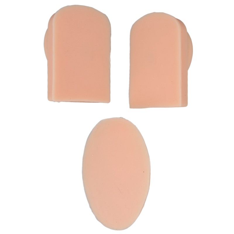 3D Nose and Mouth Model Silicone Ear Model Simulation Display