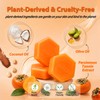 Econail Persimmon Soap for Body Odor with Mesh, Natural Deodorant