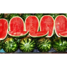 SeedsUP - 30+ Seeds Giant Watermelon Astrakhan - Fruit Green