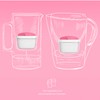 Wessper Filter Cartridges for Jug, Filter with Magnesium, Additional PIN,