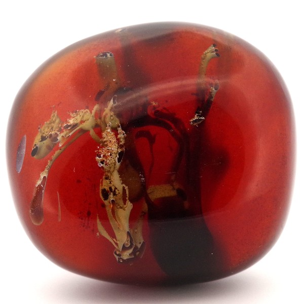 [N2 stone Natural] Natural Fossils Amber (Blue Amber/Polished Blue Amber)