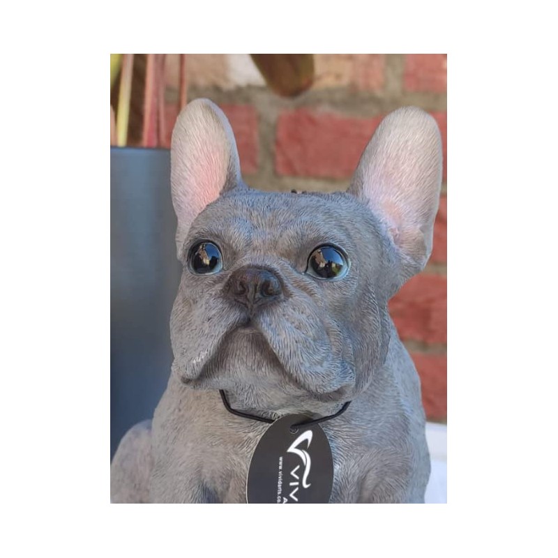 Vivid Arts (Blue French Bulldog Sitting