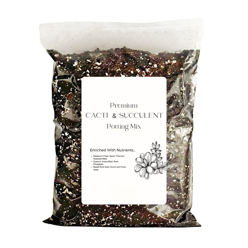 Superior Cacti and Succulent Potting Mix - Enriched with Nutrients