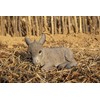 Hi-Line Gift Medium Donkey FOAL Lying Down, Brown