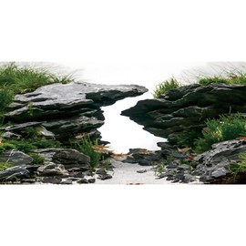 AWERT 24x16 inches Viewing Stone Fish Tank Background River Bed & Lake Aquarium Background Seaweed Aquarium Vinyl Background