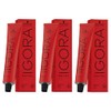 Schwarzkopf Igora Royal 6-99 Set 3 x 60 ml