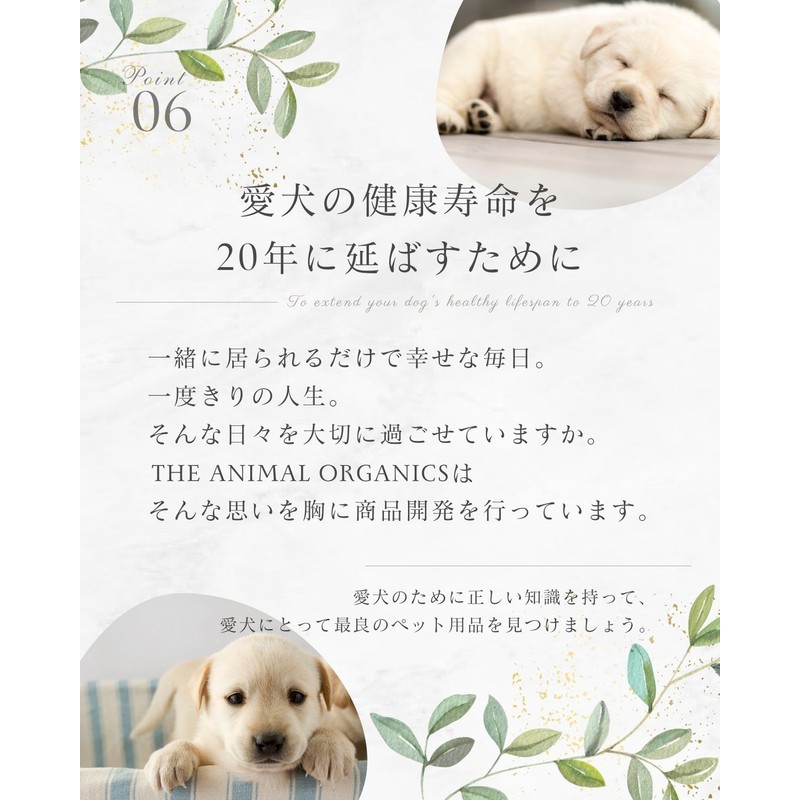 Animal Organic Pet Treatment, Dog and Cat Rinse Display, Human