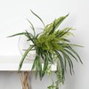 WGV Slant Cut Bowl Glass Vase, Width 9", Height 9",