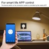 Smart Socket 16A 3000W Modern Design Multi Function Smart Timing