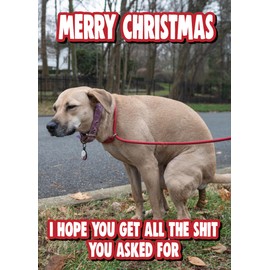 5 Funny Dog Christmas Cards - Christmas Cards for Dog Lovers, Dogs at Christmas - 5 Card Set