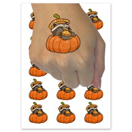 Raccoon Eating Pumpkin Fall Harvest Season Temporary Tattoo Water Resistant Fake Body Art Set Collection - 15 2" Tattoos (1 Sheet)
