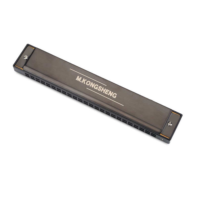 24 Holes 12 Tone C Key Harmonica Mouth Organ Musical