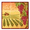 VictoryStore Kitchen Backsplash Ceramic Tile - Grapes and Vineyard Vector
