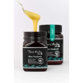 Terra Andes Raw Honey – APF 150 Unpasteurized Honey – Ulmo Rainforest All-Natural Honey – Non-GMO Creamy Sweet Honey – Organic Formula Traceable from Hive to Hand – Multifunctional Superfood - 8.8 oz