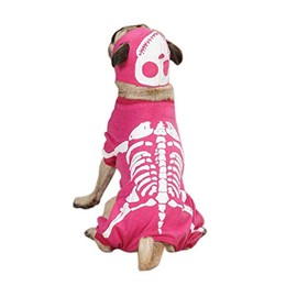 Casual Canine Glow Bones Costume for Dogs, 16" Medium