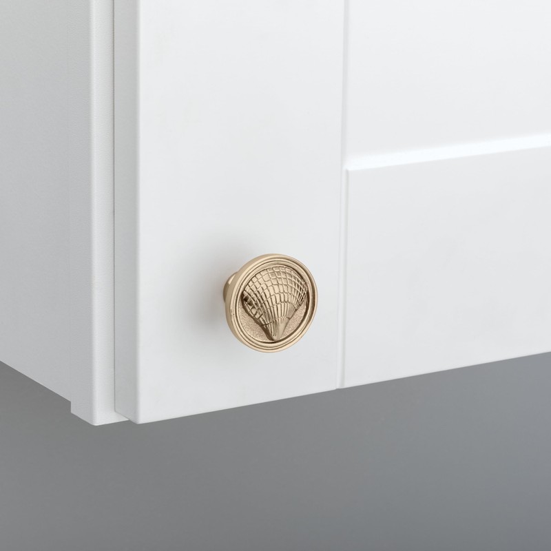 Franklin Brass Seaside Cockleshell (5-Pack) Cabinet Knobs Champagne Bronze Drawer