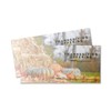 Thanksgiving Offering Envelopes | 3" x 6 5/16" | (500)