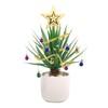 Festive Plant Baubles and Decoration Kit, Festive Plant Christmas Ornaments