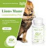 Natur Total Lions Mane Capsules 120 Lion's Mane Mushroom Complex